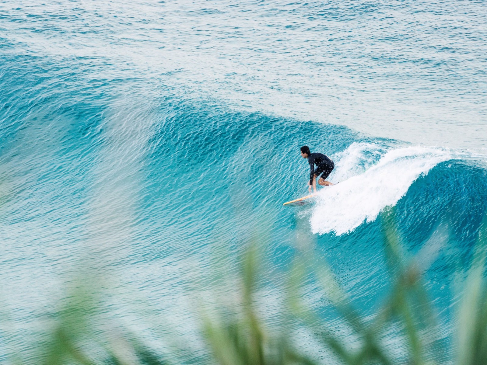 Learning to Surf in Australia: 11 Reasons to Give it a Shot